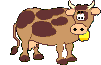 Vache
