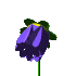 Fleur